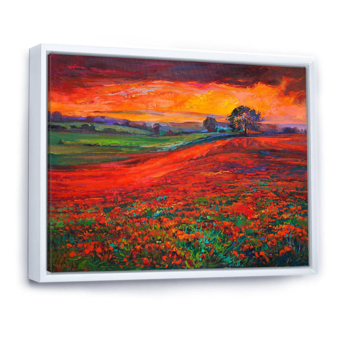 Blossoming Poppy Fields During Summer Sunset