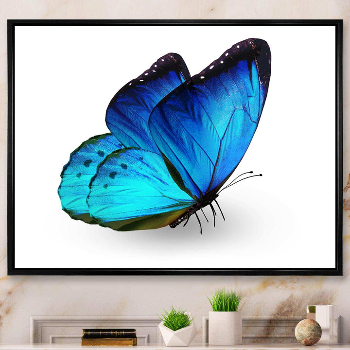 Vibrant Blue Butterfly