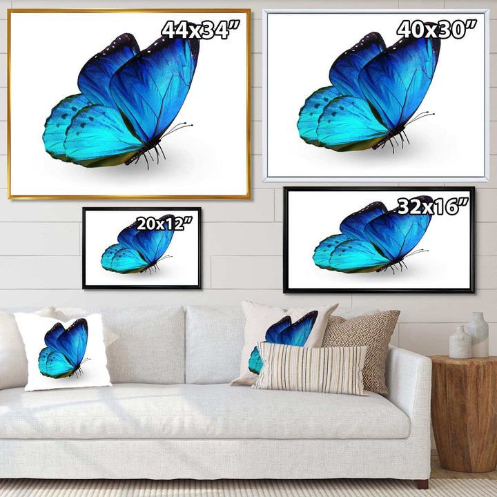 Vibrant Blue Butterfly