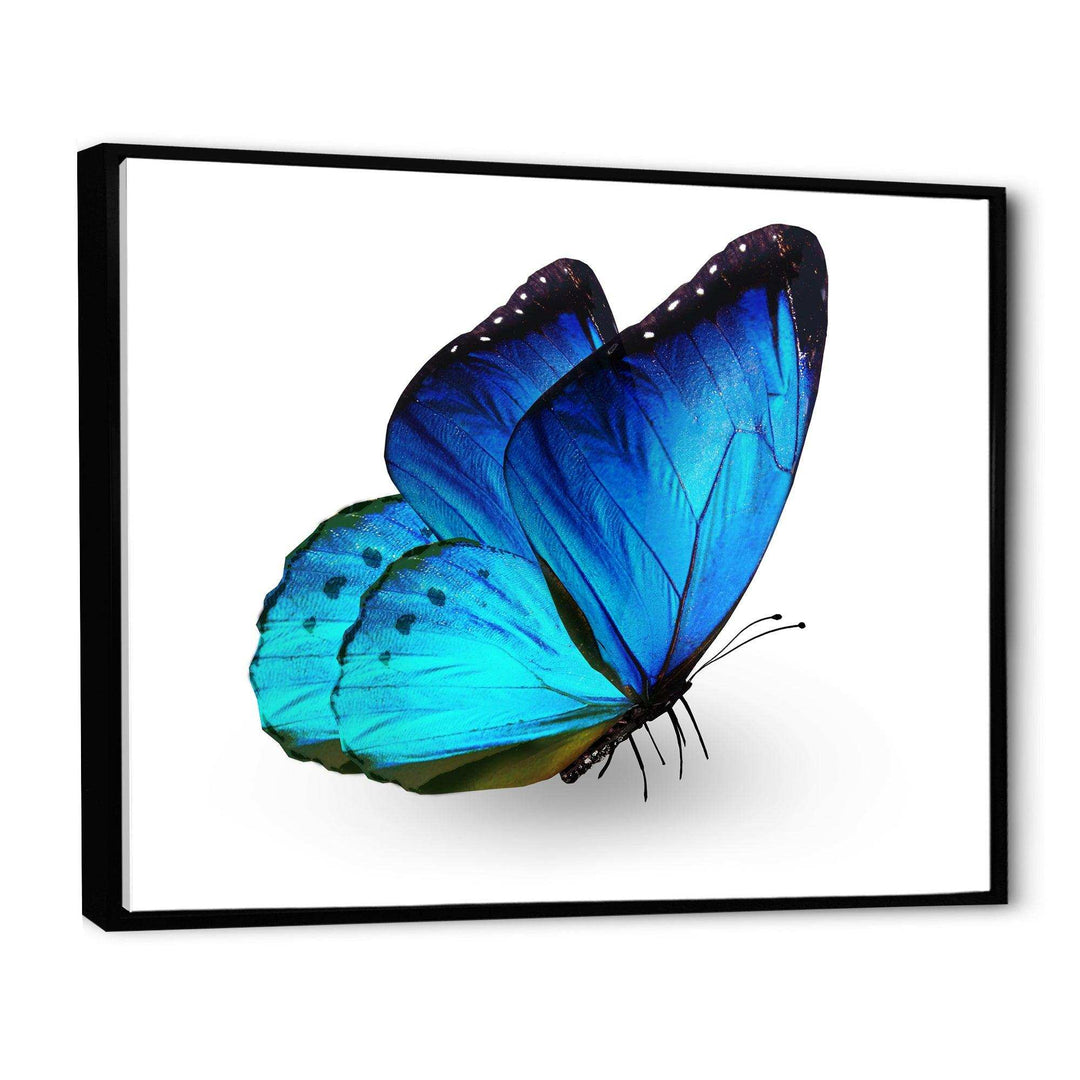 Vibrant Blue Butterfly