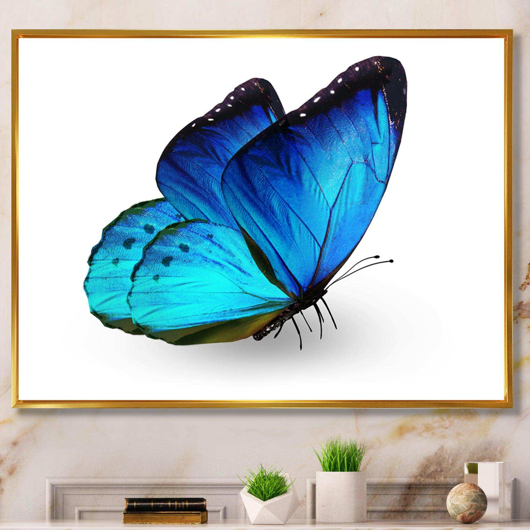 Vibrant Blue Butterfly