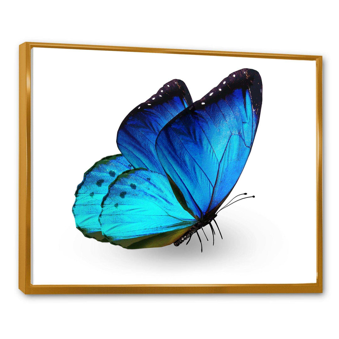 Vibrant Blue Butterfly
