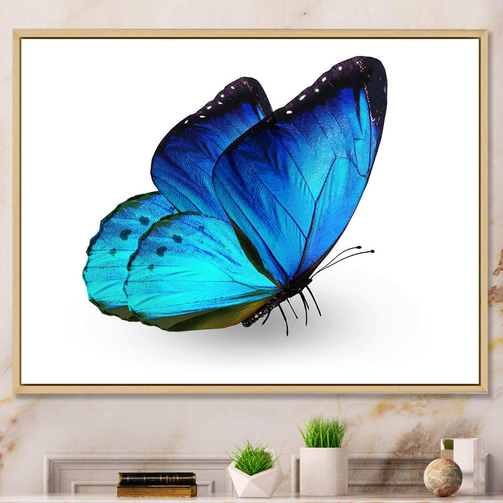 Vibrant Blue Butterfly