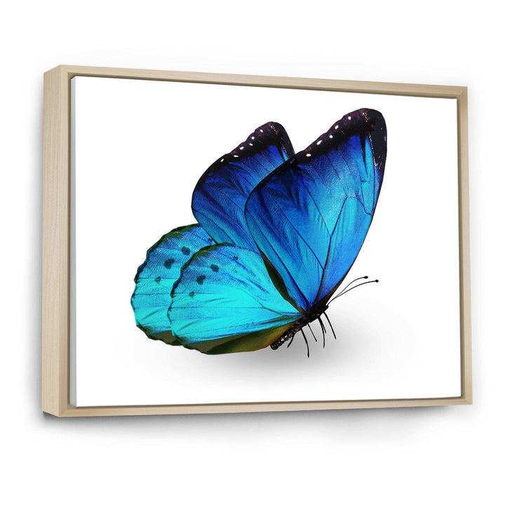 Vibrant Blue Butterfly