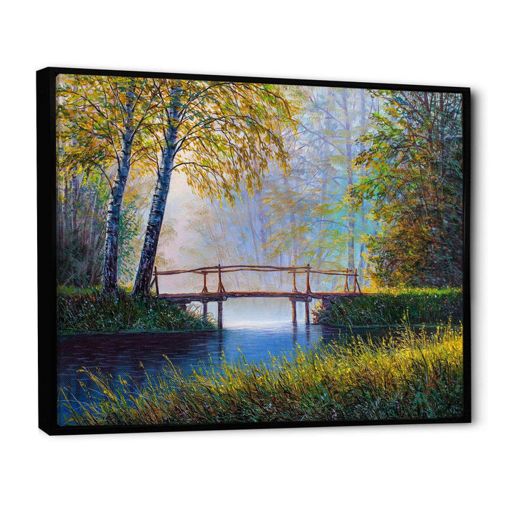 Morning Sunlight and The Awakening Spring Forest