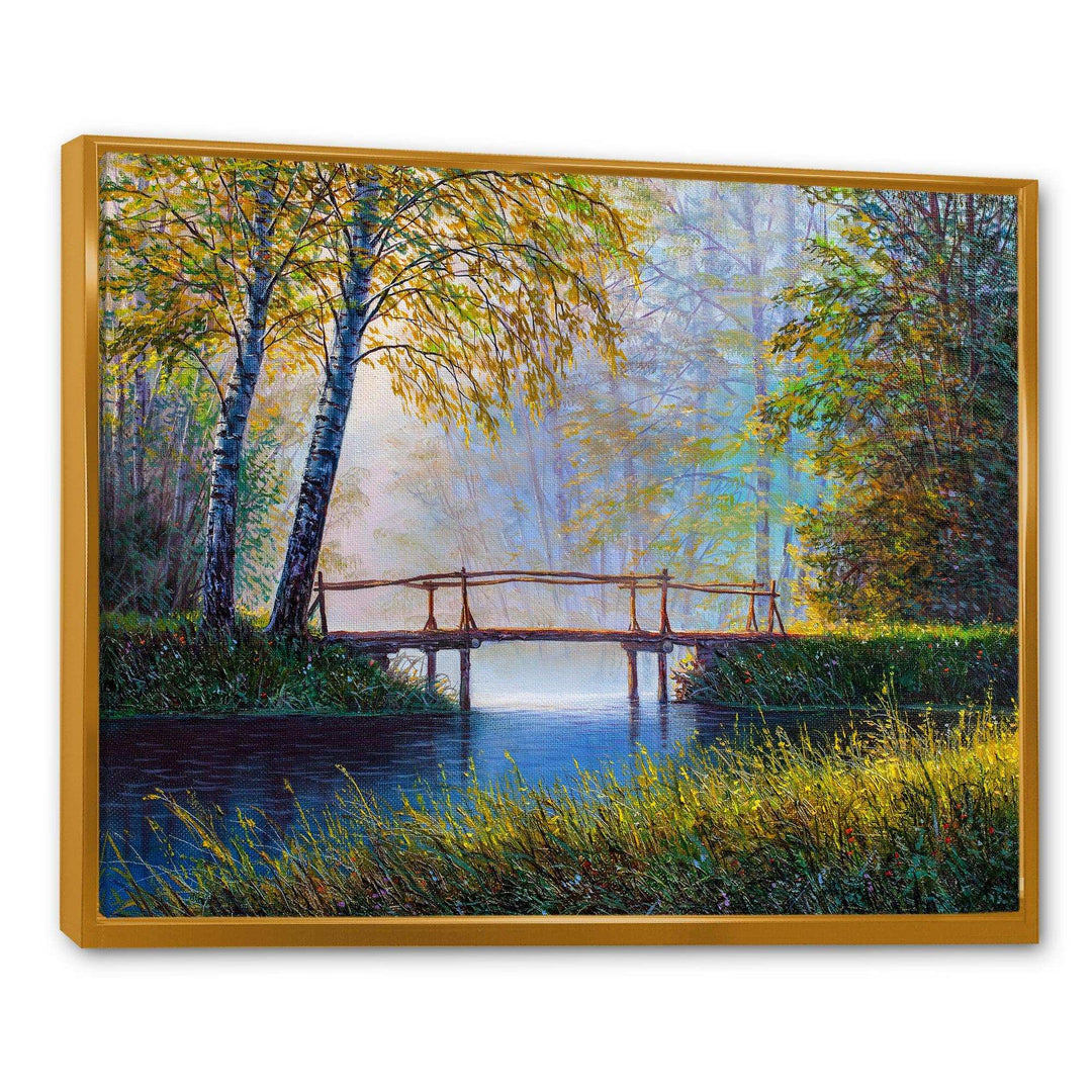 Morning Sunlight and The Awakening Spring Forest