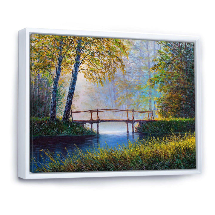 Morning Sunlight and The Awakening Spring Forest