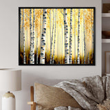 Golden Birch Trees Forest II