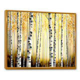 Golden Birch Trees Forest II