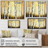 Golden Birch Trees Forest II