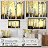 Golden Birch Trees Forest III