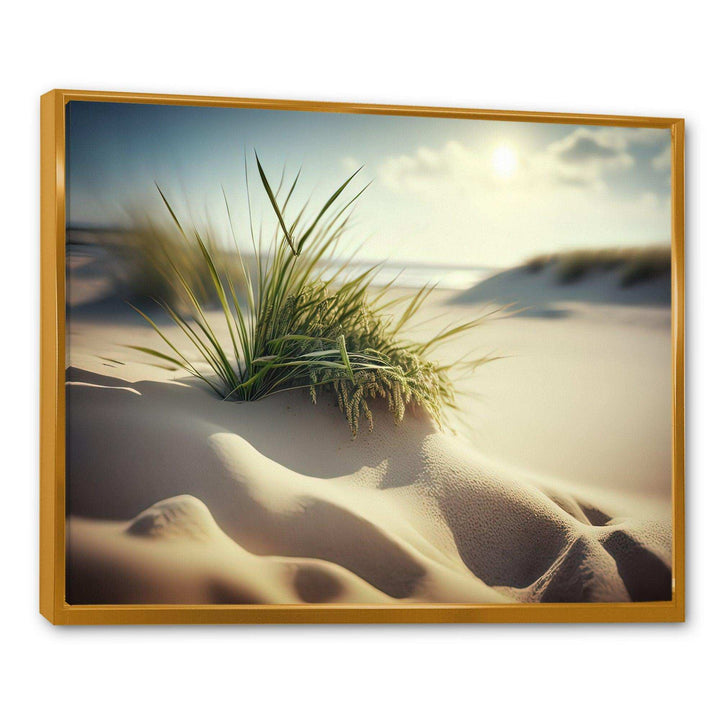 Grass On Sand Dunes I