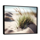 Grass On Sand Dunes II