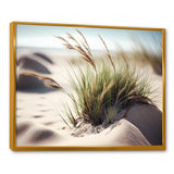 Grass On Sand Dunes II