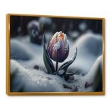 A Blooming Multicolor Tulip Flower In Winter II Framed Canvas Vibrant Gold - 1.5"Thick