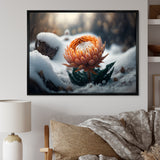 A Blooming Orange Dahlia Flower In Winter II Framed Canvas Vibrant Gold - 1.5"Thick