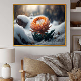 A Blooming Orange Dahlia Flower In Winter II Canvas Canvas