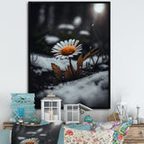 A Blooming Orange Daisy Flower In Winter I Framed Canvas Vibrant Gold - 1.5"Thick