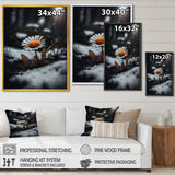 A Blooming Orange Daisy Flower In Winter I Framed Canvas Vibrant Black - 1.5"Thick