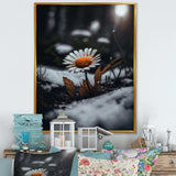 A Blooming Orange Daisy Flower In Winter I Canvas Canvas