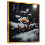 A Blooming Orange Daisy Flower In Winter I Framed Canvas Vibrant Gold - 1.5"Thick