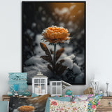 A Blooming Orange Marigold Flower In Winter III Framed Canvas Vibrant Gold - 1.5"Thick