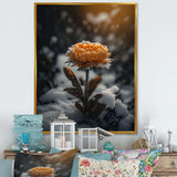 A Blooming Orange Marigold Flower In Winter III Canvas Canvas