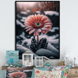 A Blooming Pink Gerbera Flower In Winter II Framed Canvas Vibrant Gold - 1.5"Thick