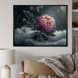 A Blooming Pink Peony Flower In Winter III Framed Canvas Vibrant Gold - 1.5"Thick