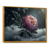 A Blooming Pink Peony Flower In Winter III Framed Canvas Vibrant Gold - 1.5"Thick