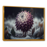 A Blooming Purple Dahlia Flower In Winter III Framed Canvas Vibrant Gold - 1.5"Thick