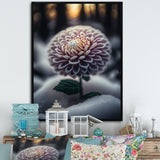 A Blooming Purple Dahlia Flower In Winter V Framed Canvas Vibrant Gold - 1.5"Thick