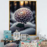 A Blooming Purple Dahlia Flower In Winter V Canvas Canvas