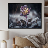 A Blooming Purple Rose Flower In Winter II Framed Canvas Vibrant Gold - 1.5"Thick