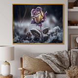 A Blooming Purple Rose Flower In Winter II Canvas Canvas