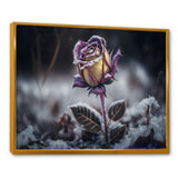 A Blooming Purple Rose Flower In Winter II Framed Canvas Vibrant Gold - 1.5"Thick