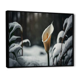 A Blooming White Calla Lily Flower Winter II Framed Canvas Vibrant Black - 1.5"Thick