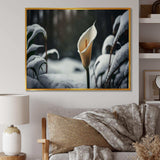 A Blooming White Calla Lily Flower Winter II Canvas Canvas