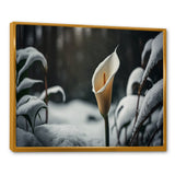 A Blooming White Calla Lily Flower Winter II Framed Canvas Vibrant Gold - 1.5"Thick