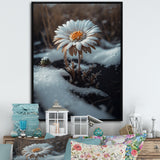 A Blooming White Daisy Flower In Winter Framed Canvas Vibrant Gold - 1.5"Thick