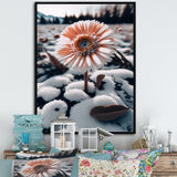 A Blooming White Gerbera Flower In Winter Framed Canvas Vibrant Gold - 1.5"Thick