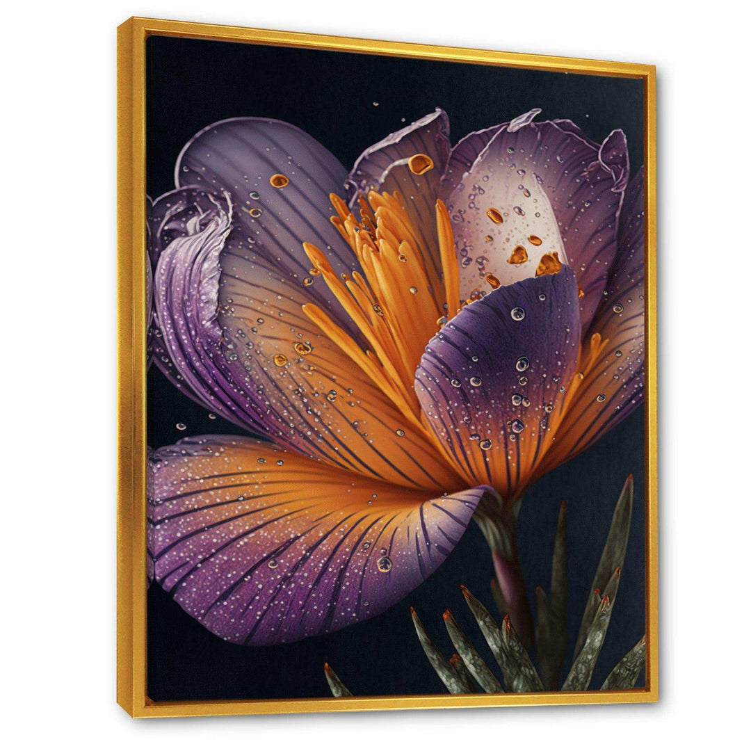 Blooming Crocus II