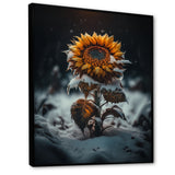 A Blooming Yellow And Orange Sunflower Winter I Framed Canvas Vibrant Black - 1.5"Thick