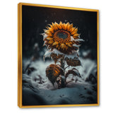 A Blooming Yellow And Orange Sunflower Winter I Framed Canvas Vibrant Gold - 1.5"Thick