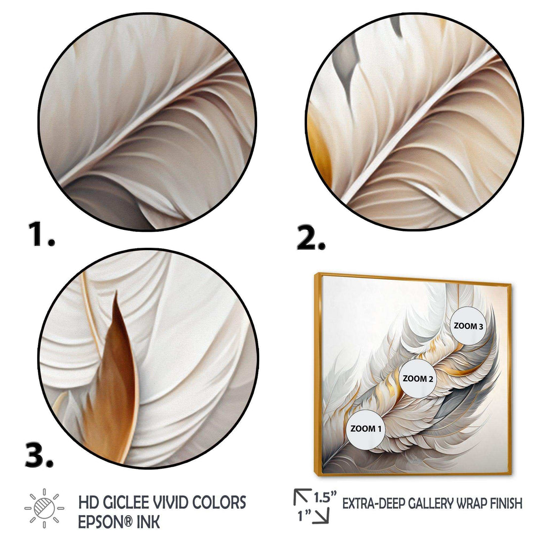 White Watercolor Feather  - Modern Wall Art Prints