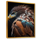 Macro Colorful Feather Eagle III