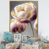 Cream And Purple Tulip II