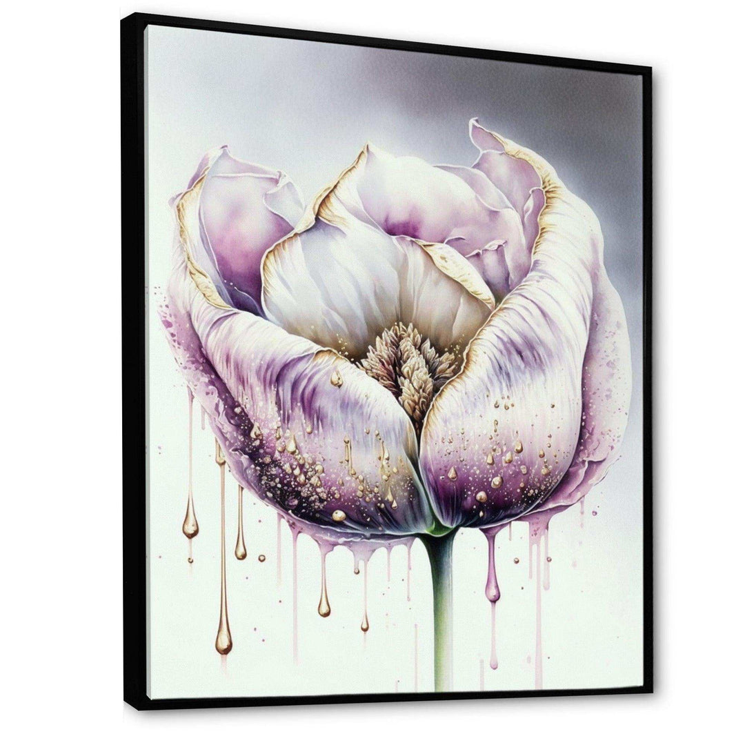 Cream And Purple Tulip III