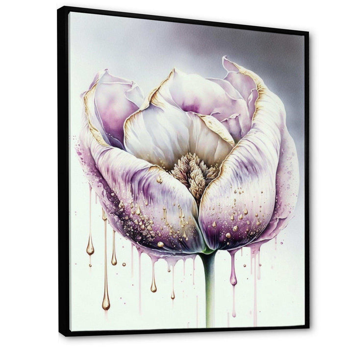 Cream And Purple Tulip III
