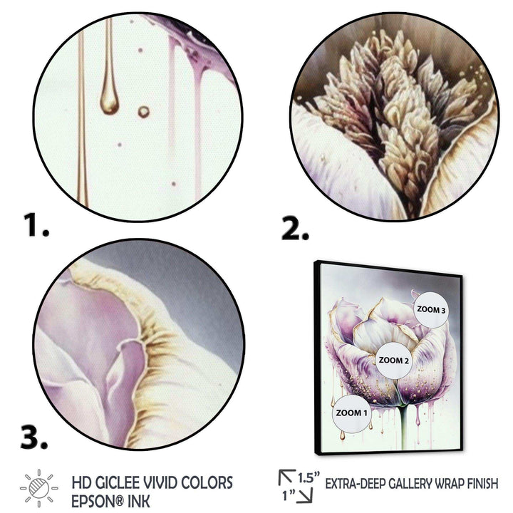 Cream And Purple Tulip III